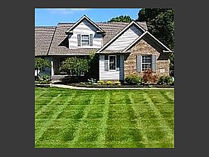 Lawn Striping, Perry, OH 